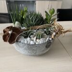 Sesazené nádoby z pokojových rostlin